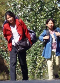 少妇超碰在线