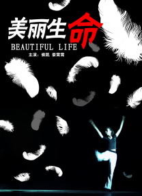 精品综合在线